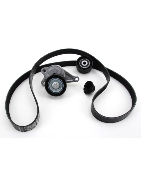 Kit de Courroie distribution Nissan Qashqai x trail , Renault Grand scenic Koleos Laguna Megane Scenic Moteur 2.0DCI