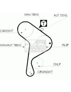 Kit distribution pour VW/ Audi/ Seat 1.9D