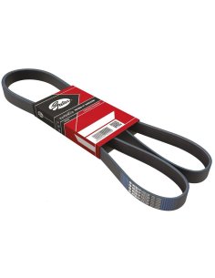 Courroie  Dacia Logan Fiat Doblo Punto Strada Ford Cougar Escort Mondeo Renault Laguna 2 Toyota Corolla