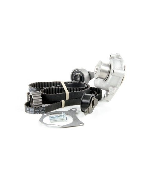 kit distibution pompe Courrier Orion Escort 1.8D
