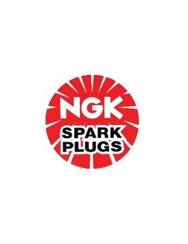 Bougie d'allumage Ngk PZFR6R