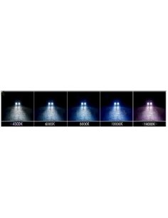 Kit Phare Xenon 55w Ampoule H7 2