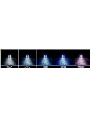 HID H1 55w	 Ampoule H1 6000k