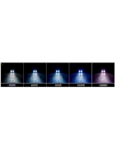 HID H1 55w	 Ampoule H1 8000k