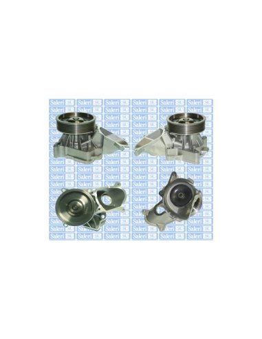 Pompe à eau Saleri PA1249