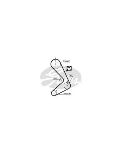 Courroie de distribution R21