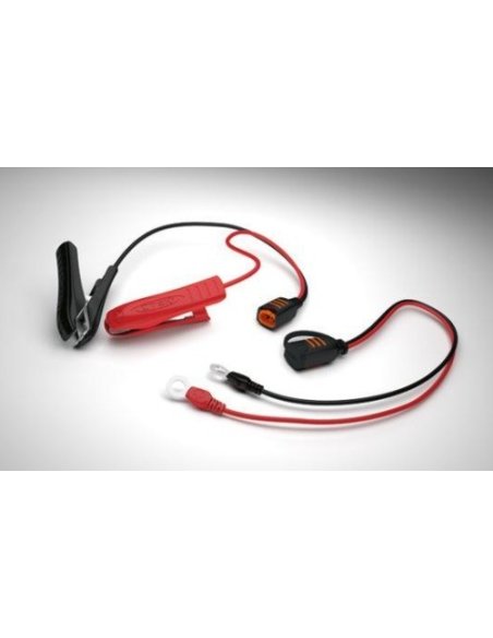 Chargeur de batterie