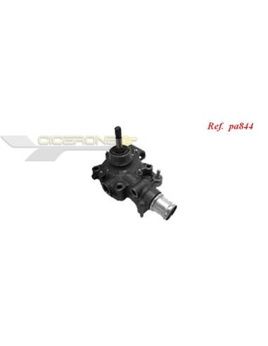 Pompe à eau Saleri PA844