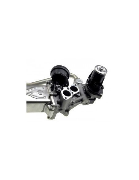Vanne Egr Audi A1 Seat Ibiza Skoda Fabia Vw Polo 1.6 Tdi