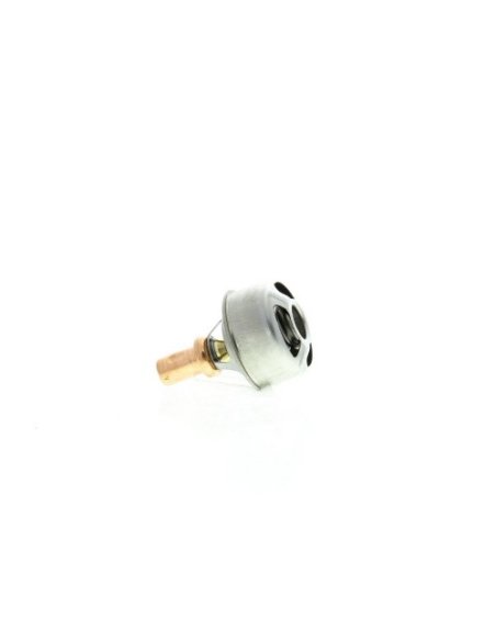 THERMOSTAT D'EAU RENAULT FORD DAF