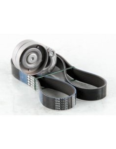 Kit courroie d'accessoires Renault Mégane II - III Scénic II - III 1.9 DCI