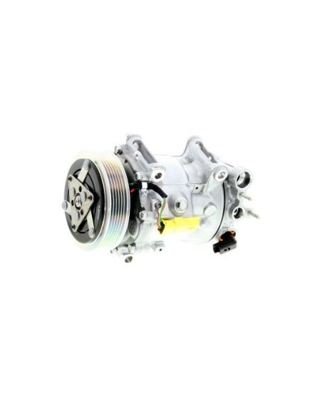 Compresseur de climatisation Citroën C5 Peugeot 407 607