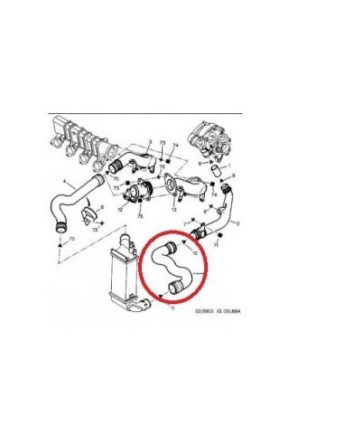Durite pour 406 2HDI