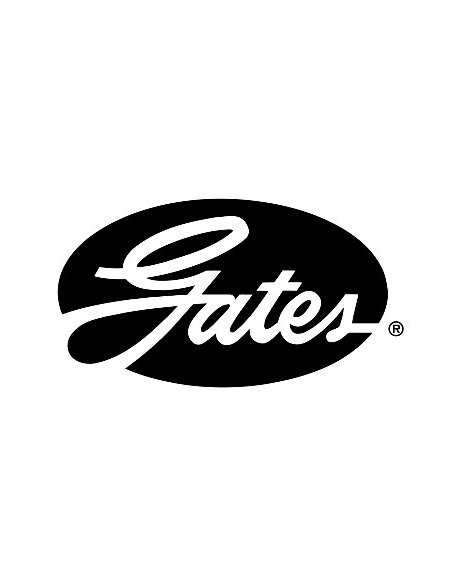 Courroie d'accessoire Ford alt + direction assistée