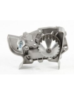 Pompe à eau Renault Clio Kangoo Mégane 1.2 - 1.4 i