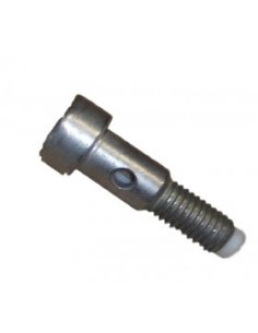 Vis de raccord de turbo Citroen Peugeot 1.6 Hdi (long)