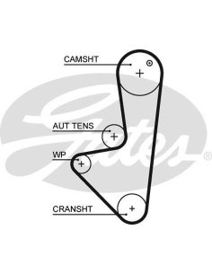 Courroie distribution Peugeot Citroën Fiat 