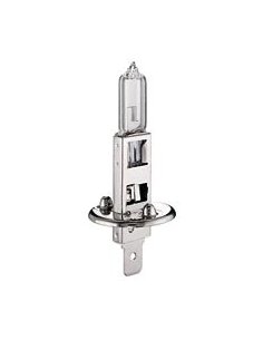 Ampoule H1 Blanc 12v 55w
