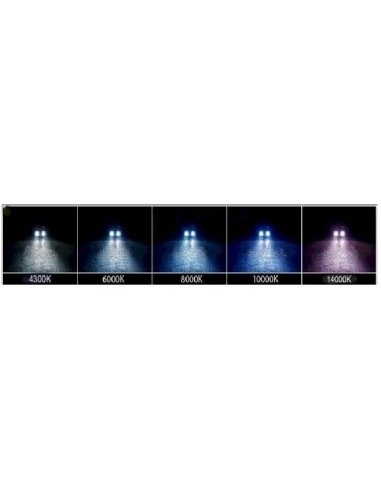 Kit Xenon 55w  H3C Courte 4300K