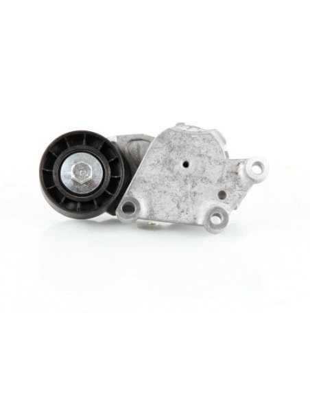 Galet tendeur Citroën C1 C2 C3 C4 107 206 307 1007 Fiesta Focus C-max Mini Toyota  Aigo Volvo C30. S40 V50 V70
