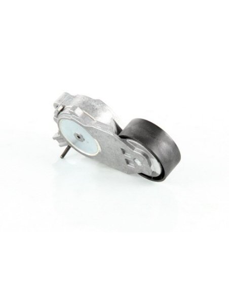Galet tendeur Citroën C1 C2 C3 C4 107 206 307 1007 Fiesta Focus C-max Mini Toyota  Aigo Volvo C30. S40 V50 V70