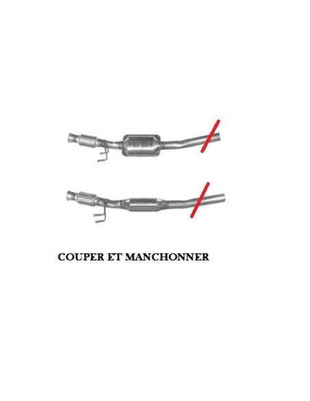 Catalyseur Peugeot 206 SW 2.0 hdi 90cv