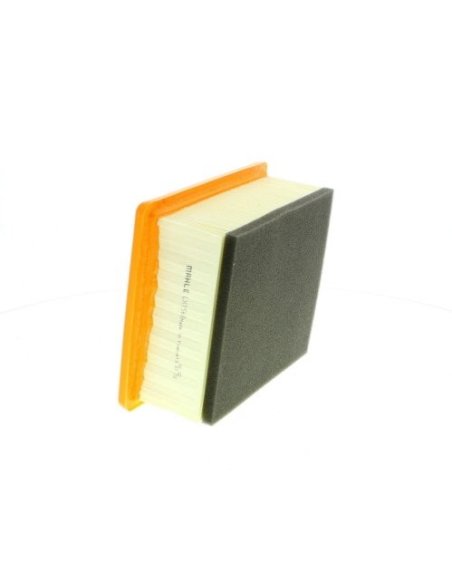 Filtre air EAF541 Peugeot Citroen Rover Rover/Austin
