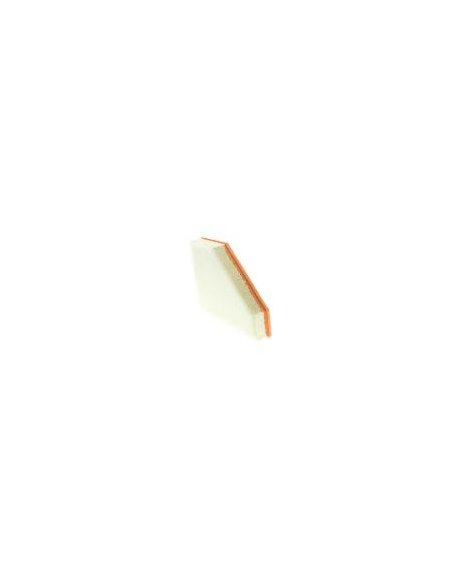 Filtre air EAF666 Bmw