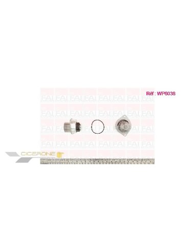 Pompe à eau FAI WP6038