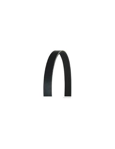 Courroie Accessoire 6PK1605