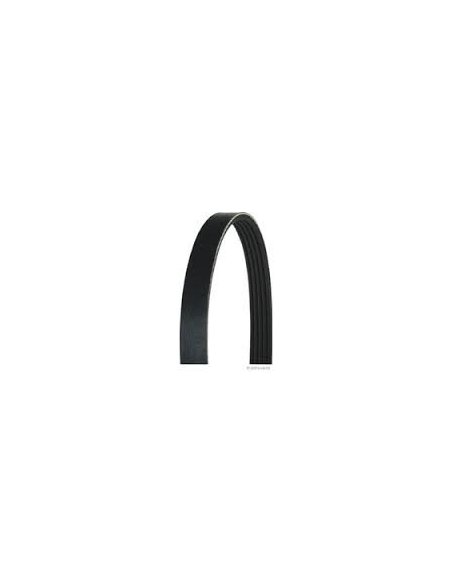 Courroie Accessoire 6PK1605