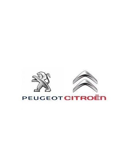 Peugeot Citroen