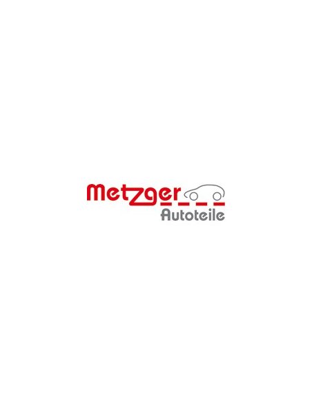 Metzger